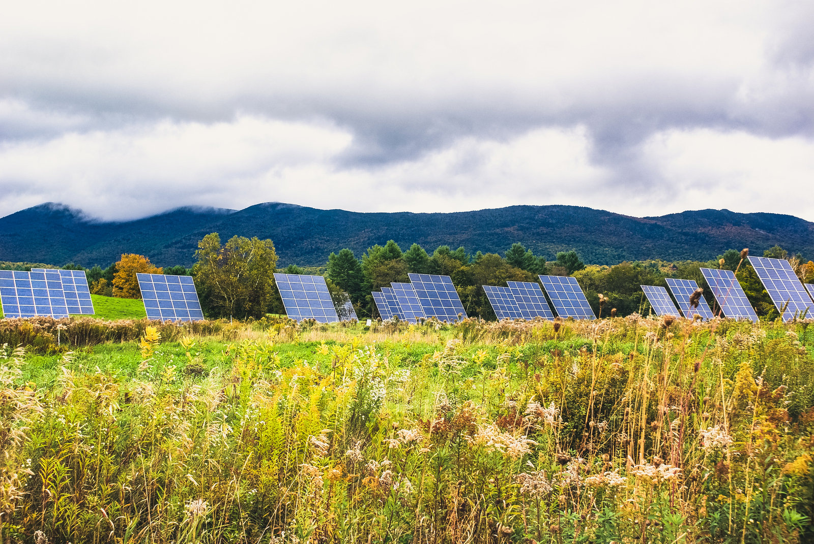 A field of solar panels in Vermont. Image Credit: Sean Reid | Dreamstime.com.