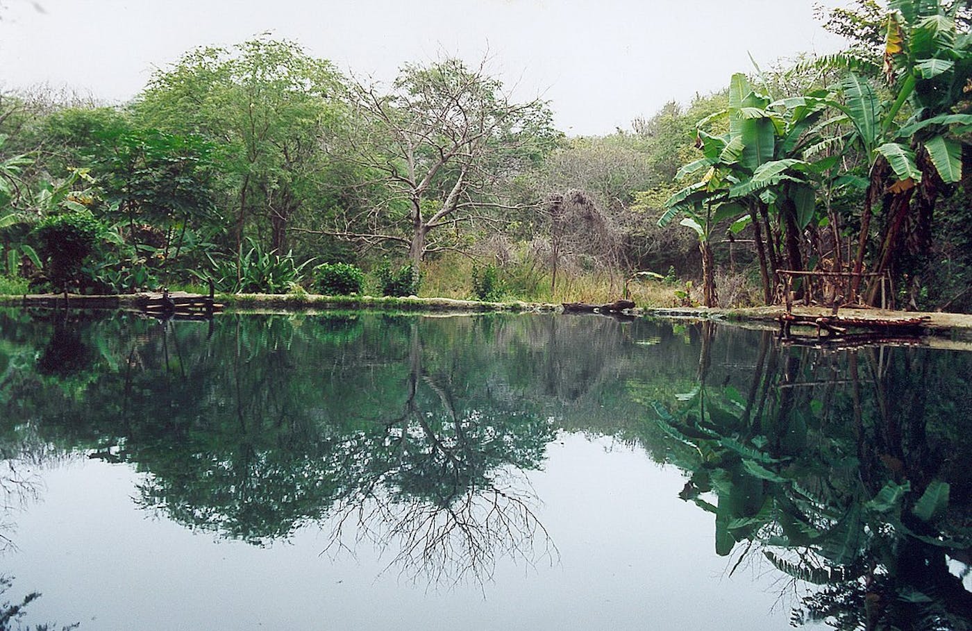 Ecuadorean Dry Coastal Forests & Flooded Grasslands (NT10)