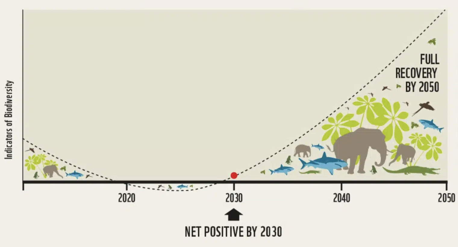 The mission of the Kunming-Montreal Global Biodiversity Framework is to rapidly bend the curve on ecosystem degradation and biodiversity loss, achieving a “nature positive” world by 2030 with a full recovery by 2050. Courtesy of the Nature Positive Initiative https://www.naturepositive.org/, 2022.