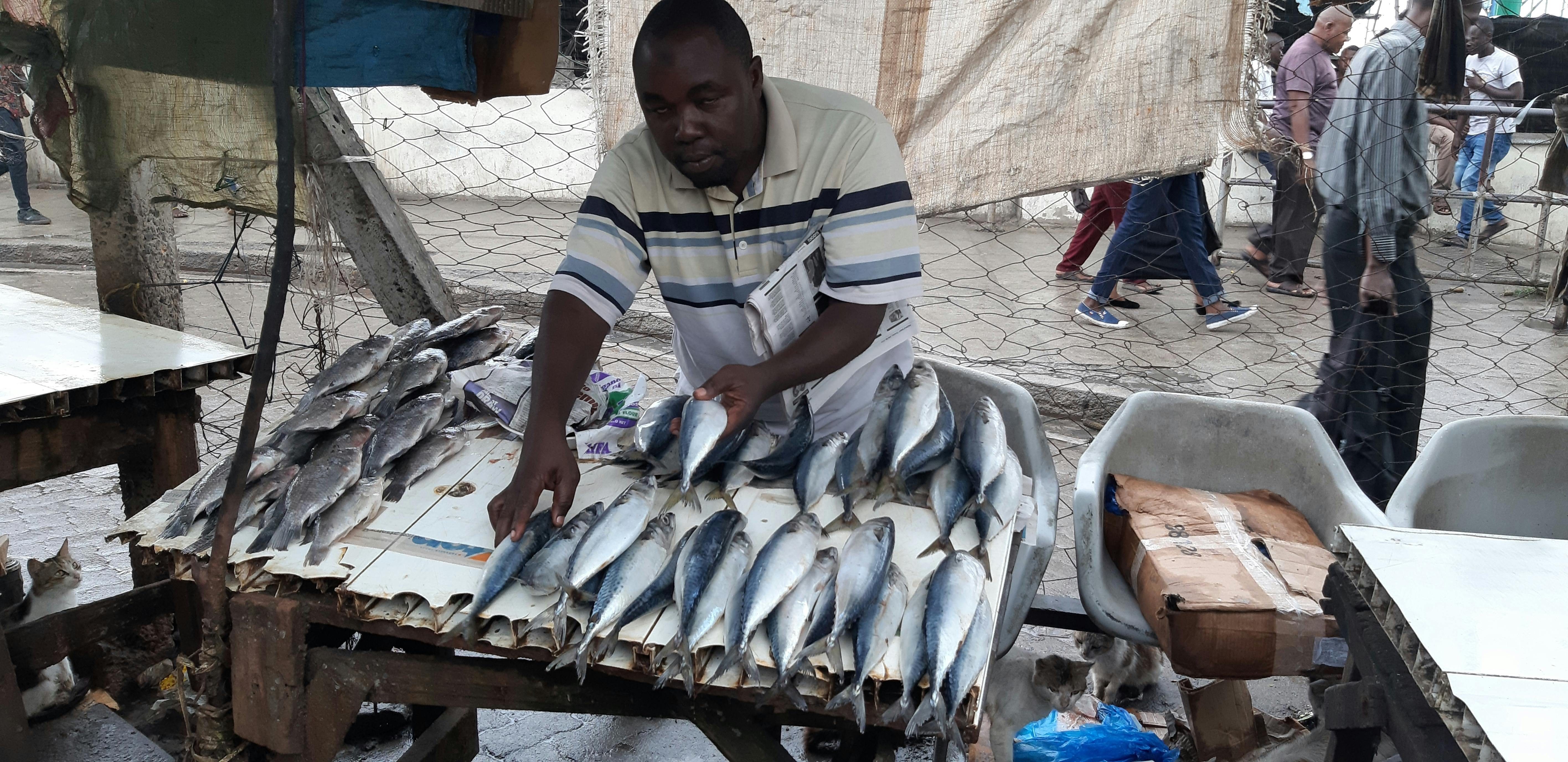 Locally managed marine areas shield Kenyan fishermen from climate