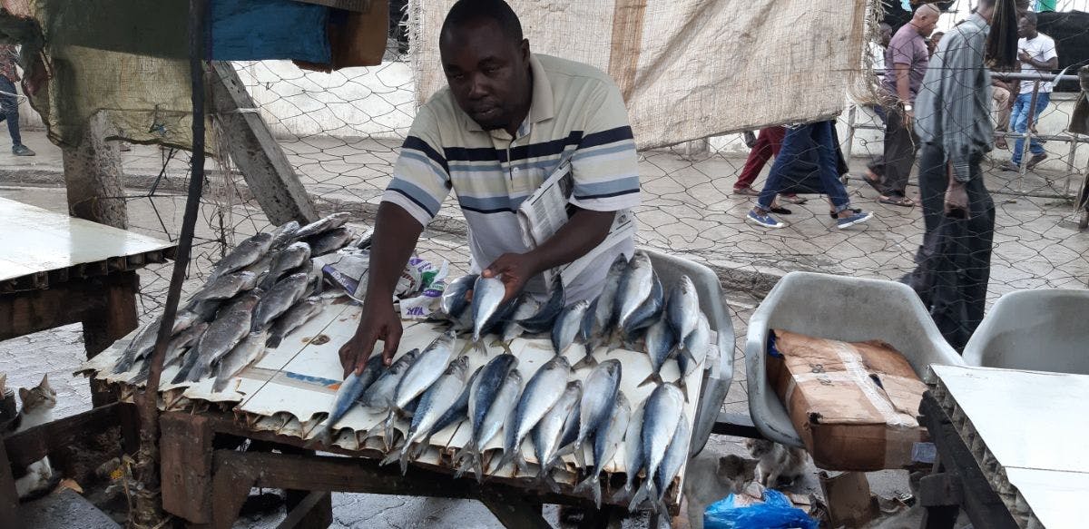 Locally managed marine areas shield Kenyan fishermen from climate change effects