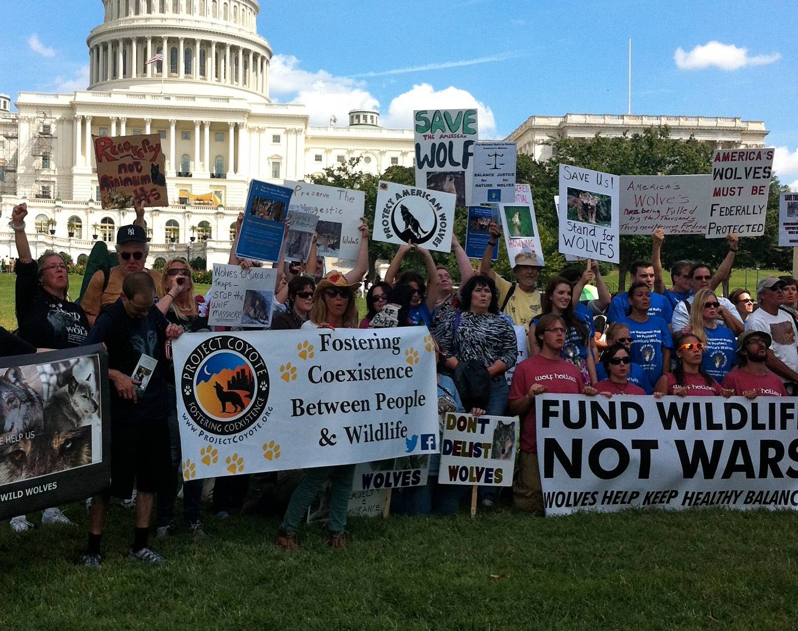 Project Coyote staff and volunteers rally in Washington DC to protect wolves in the Great Lakes and Northern Rockies. Image credit: Courtesy of Michele Chandler