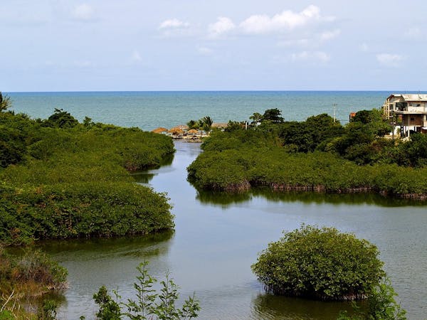 Brazilian Atlantic Moist Forests (NT14)