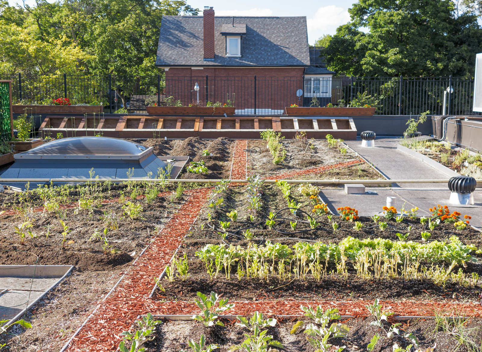 Rooftop gardens like the ones that can be seen throughout Portland. Image Credit: Alisonh29 | Dreamstime.com.