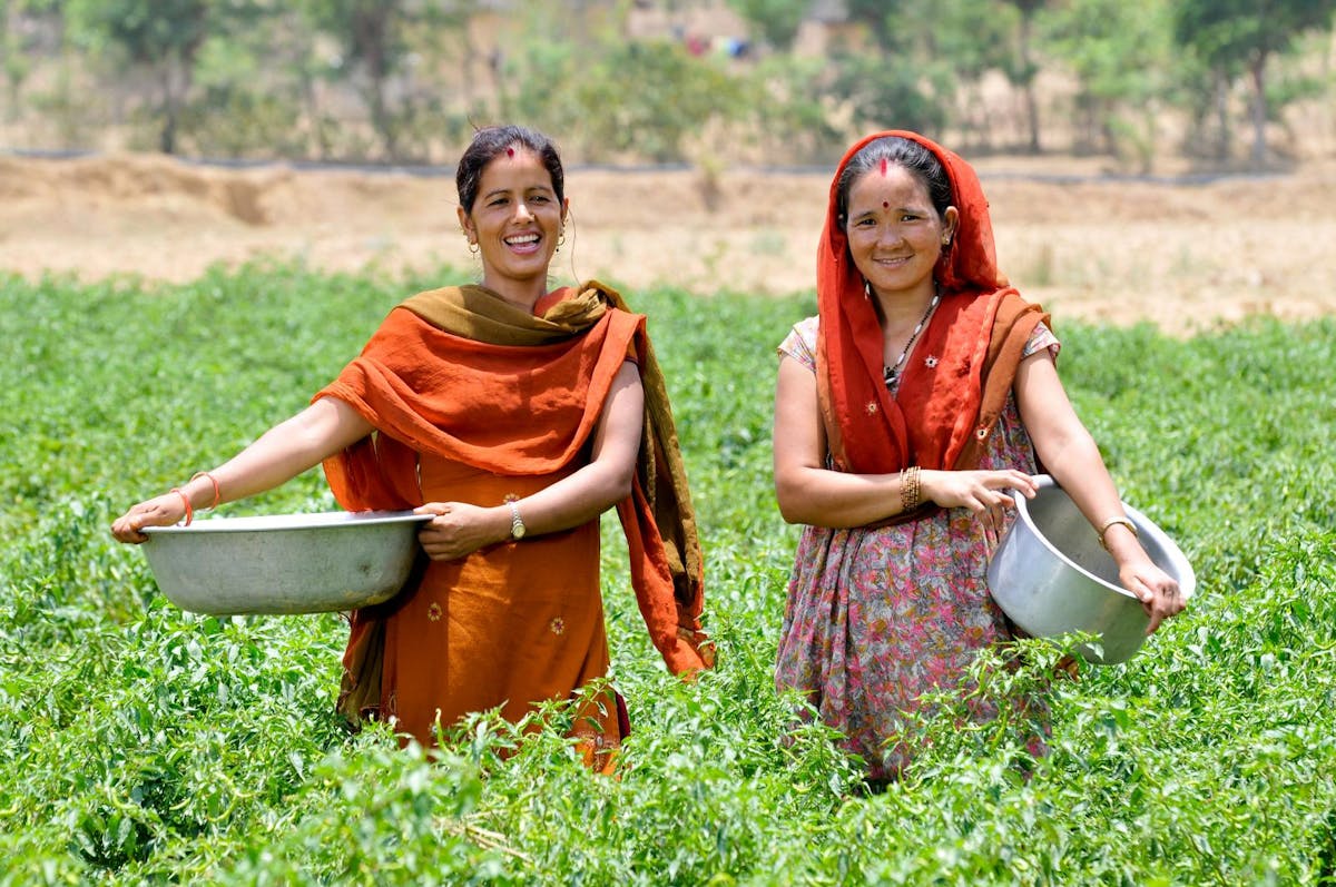 Smallholder Farming