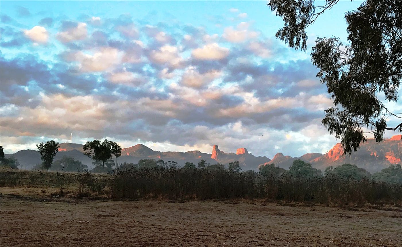 East Australian Mediterranean Woodlands & Temperate Savannas (AU4)