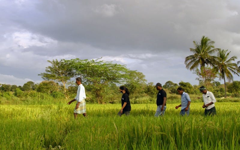 Expanding Protections for Iconic Species and Their Habitats in India