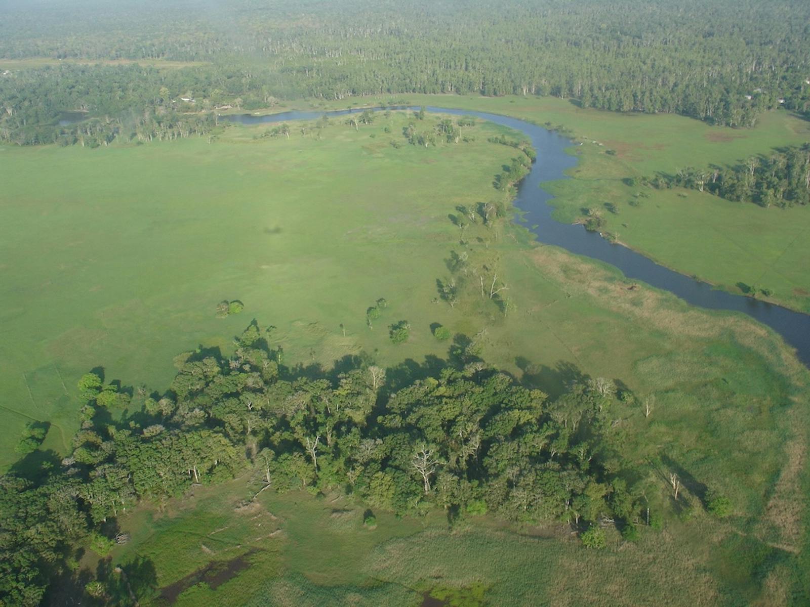 Trans Fly Savanna and Grasslands