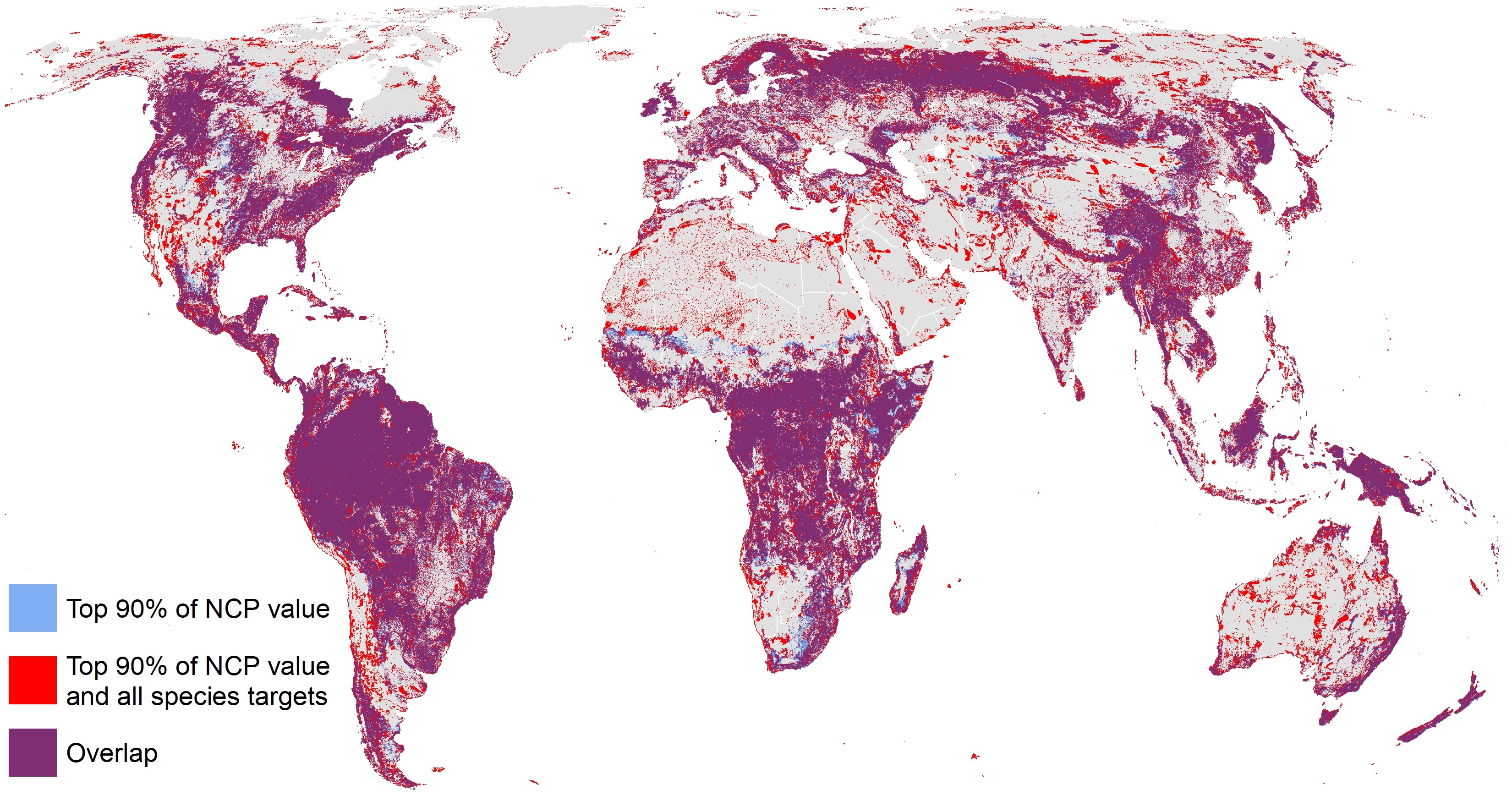 Prioritized areas for nature’s contributions to people (NCP) only (90% of current levels of NCP, in blue), prioritized areas for both NCP (90% of current levels) and that also meet all species targets (red), and areas of overlap (purple). Prioritized areas overlap over 33% of global land area (representing 94% of areas prioritized for NCP alone, or 75% of areas prioritized for NCP and species).