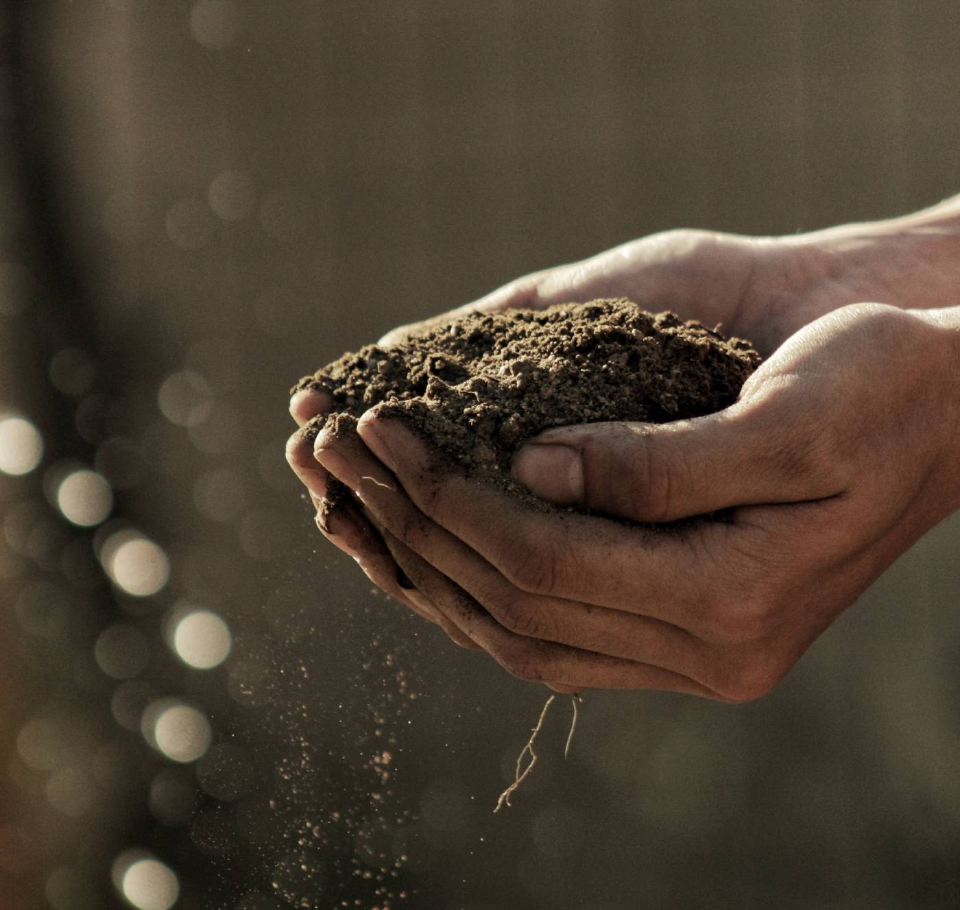 Soil in hands. Image credit: Gabriel Jimenez, Unsplash