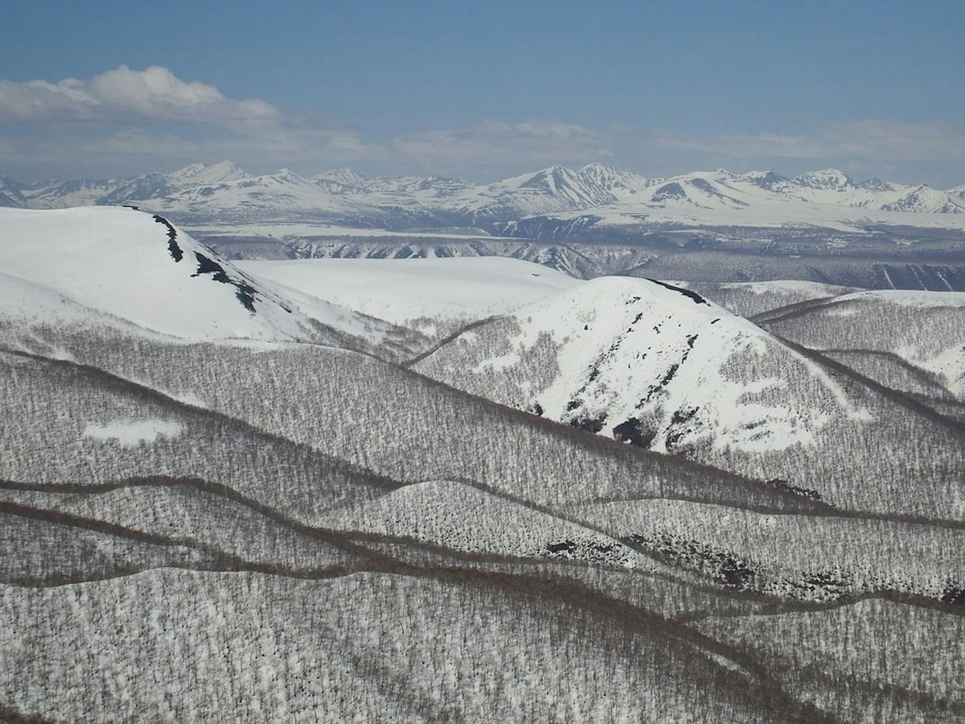 Sea of Okhotsk Coastal Taiga, Meadows & Tundra (PA6)