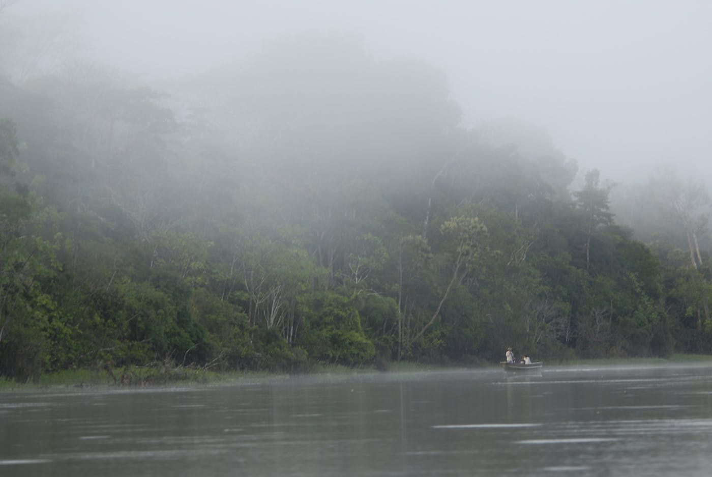 Western Amazonian Forests & Plains (NT18)