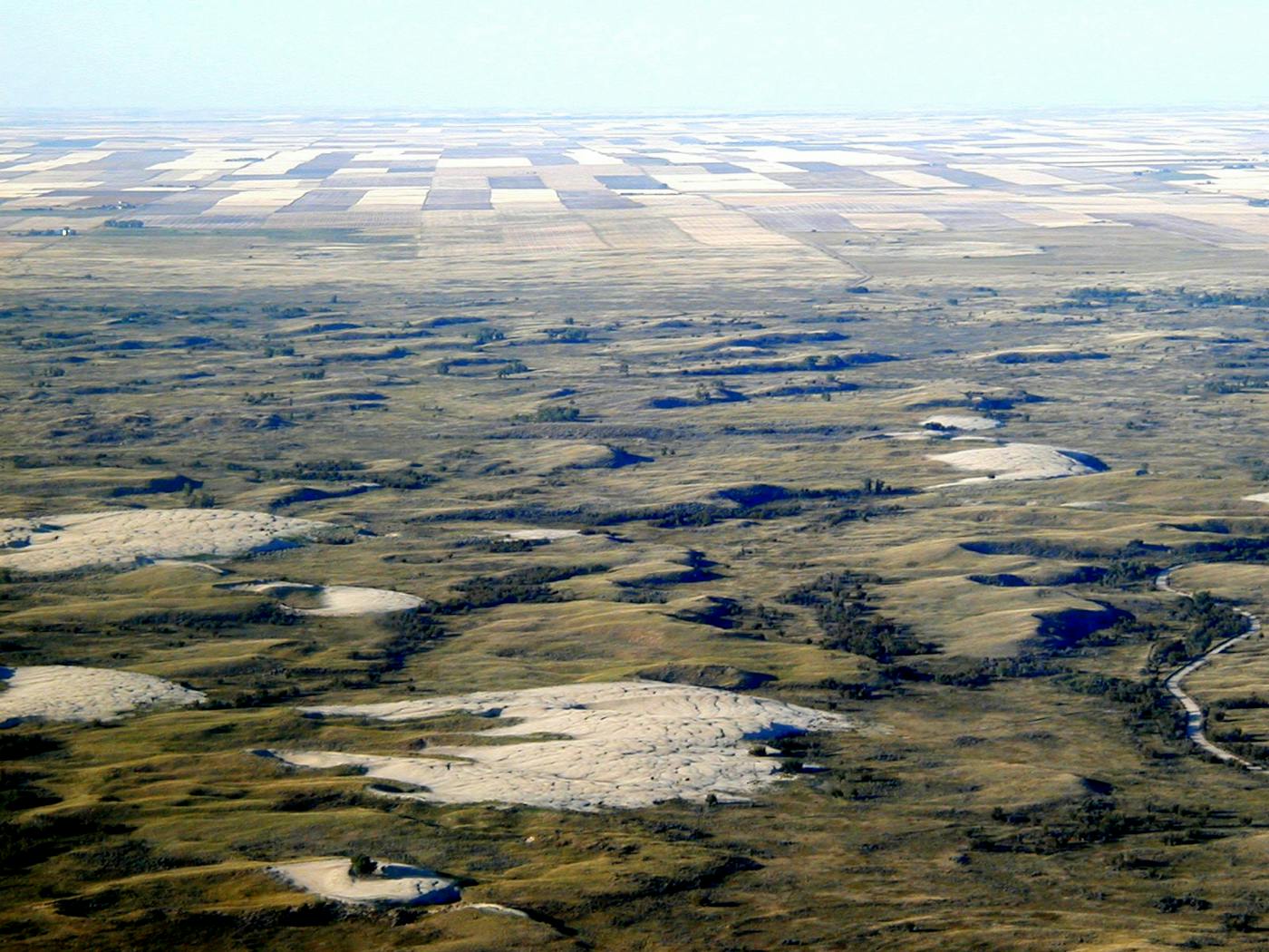 Southern Prairie Mixed Grasslands (NA20)