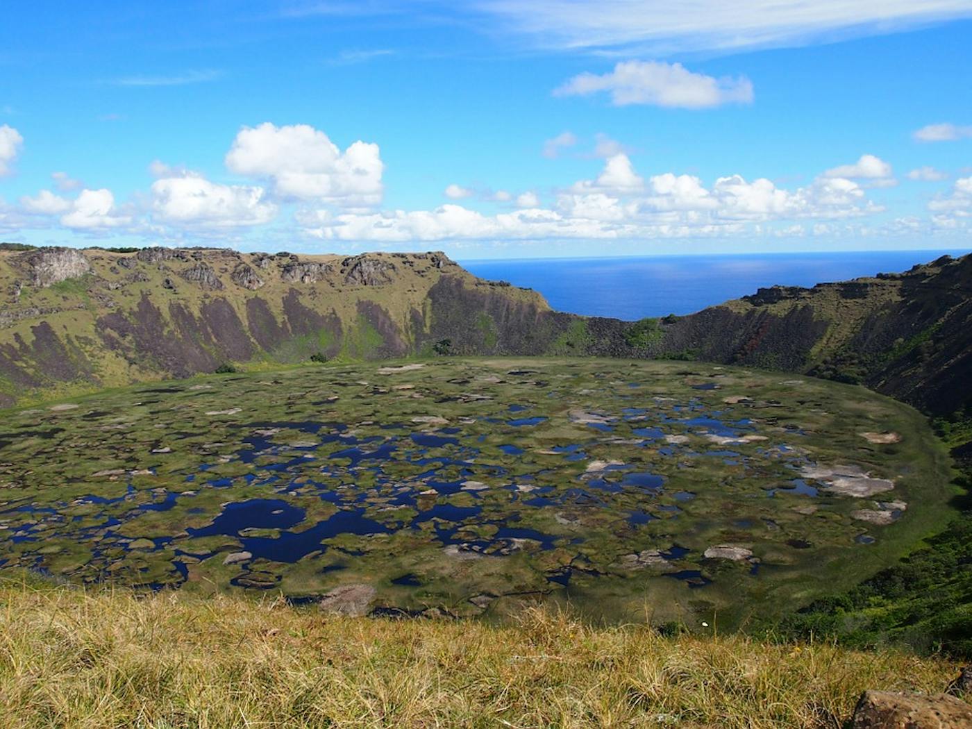 Salas y Gómez & Easter Islands (OC1)