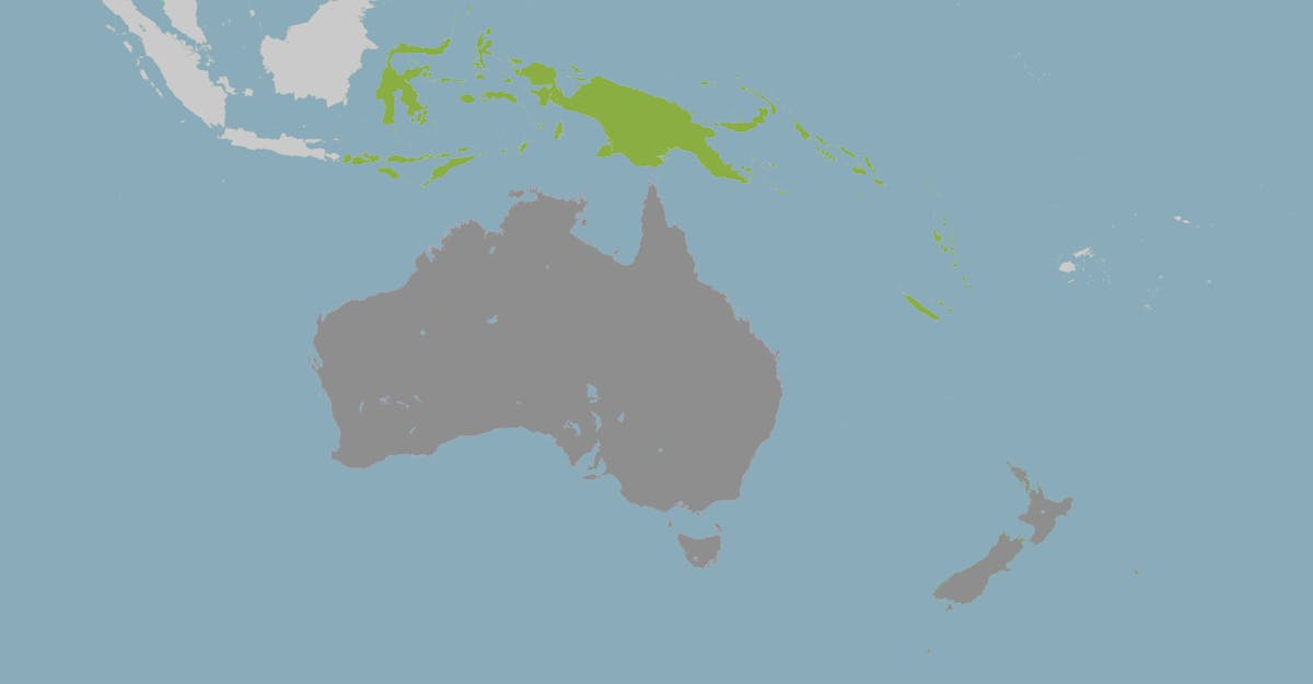 Australasian Islands & Eastern Indonesia