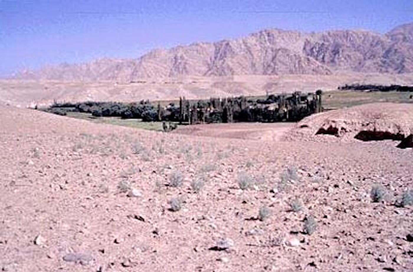 North Indomalayan Deserts & Scrub Forest (IM4)