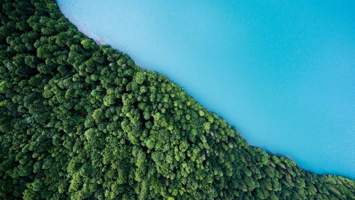 Aerial view of forest and lake.