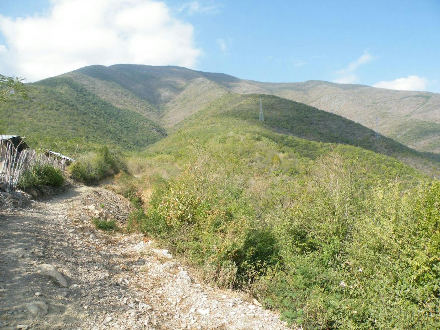 Sierra Madre Forests & Mexican Drylands (NA29)