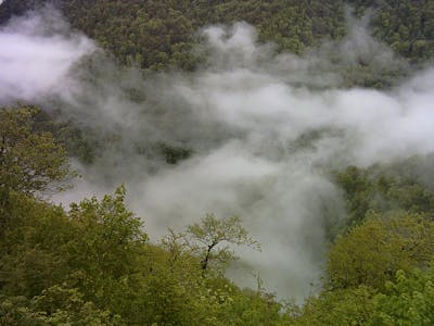 South Caspian Coastal & Mountain Mixed Forests (PA28)