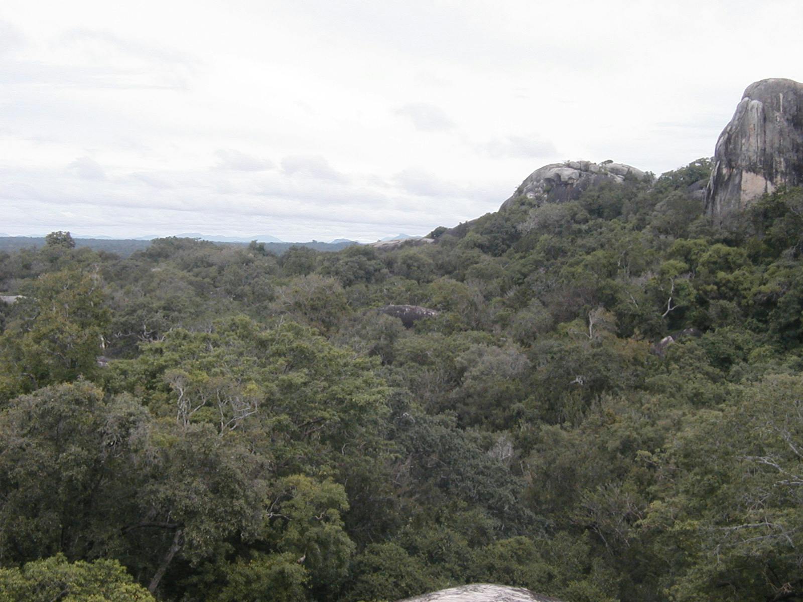 Sri Lanka Dry-Zone Dry Evergreen Forests