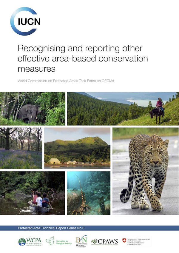 Recognising and reporting other effective area-based conservation measures