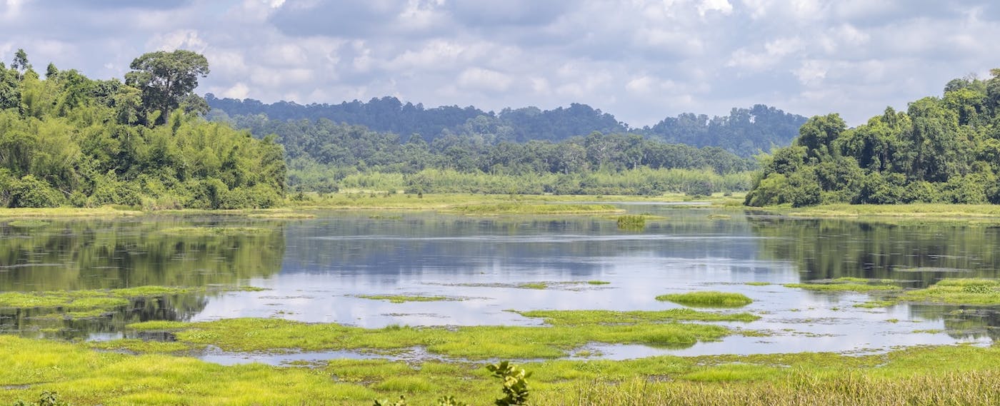 Indochina Mixed Forests & Peatlands (IM12)