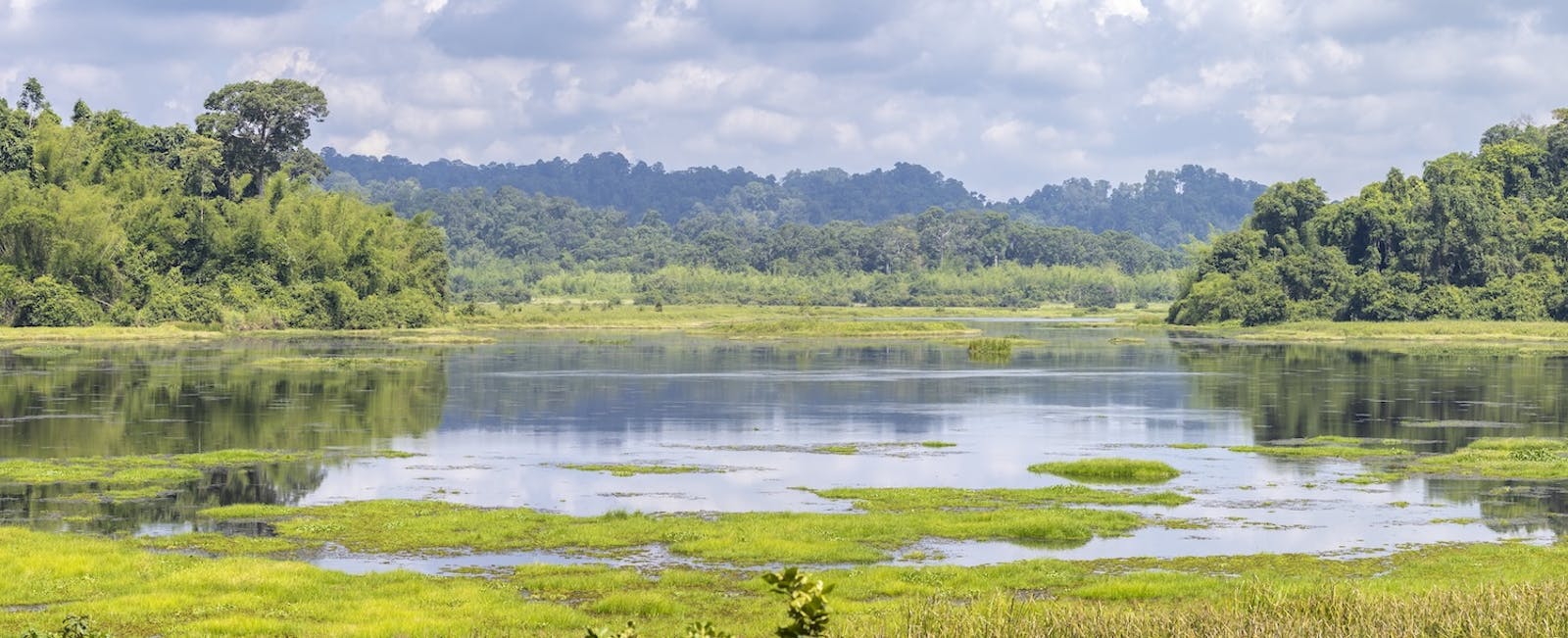 Southeastern Indochina Dry Evergreen Forests