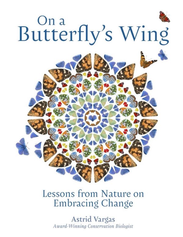 On a Butterfly's Wings: Lessons from Nature on Embracing Change book cover