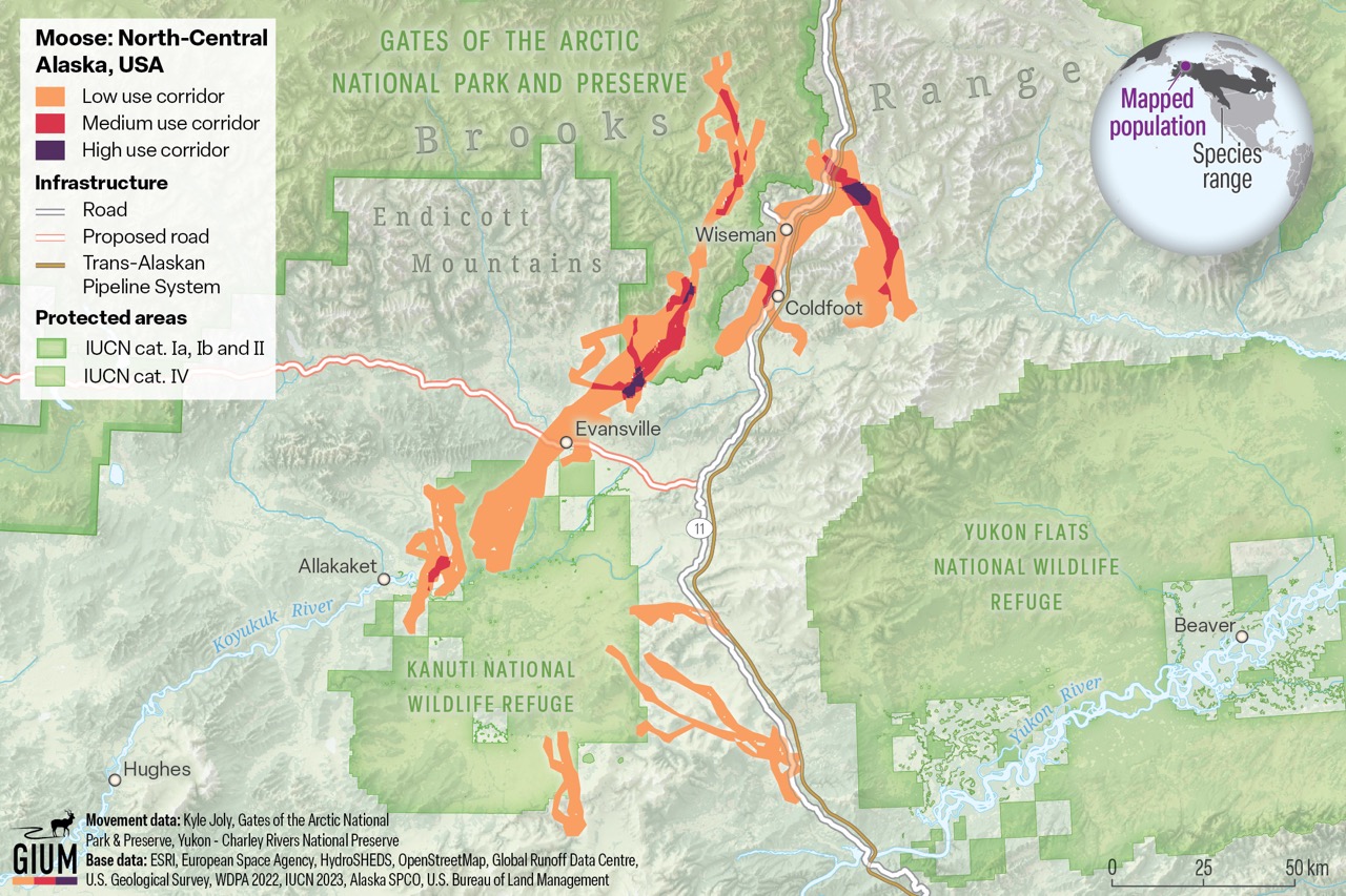 Atlas of Ungulate Migration