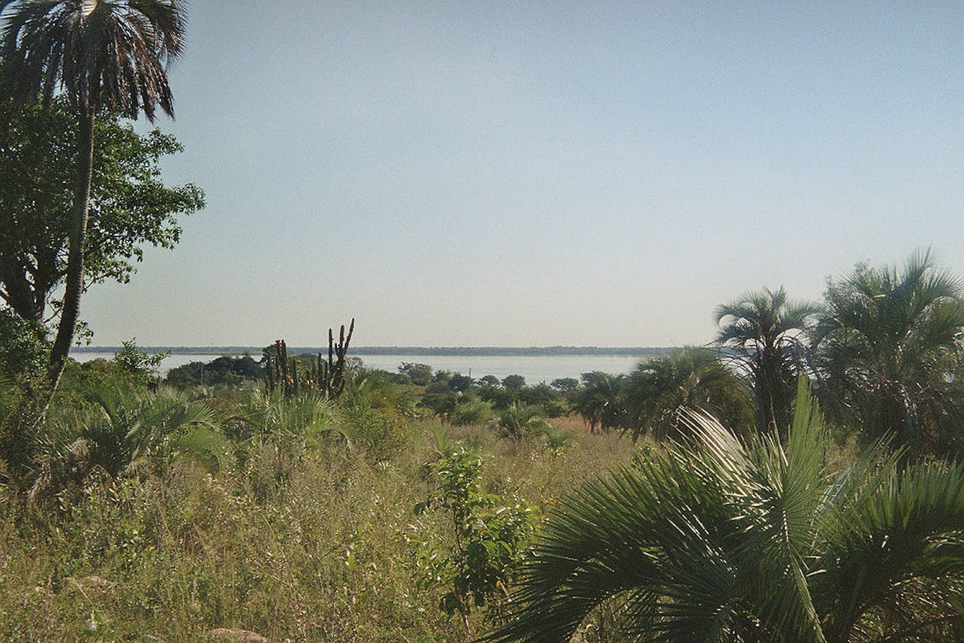 Rio de la Plata Grasslands (NT3) | One Earth