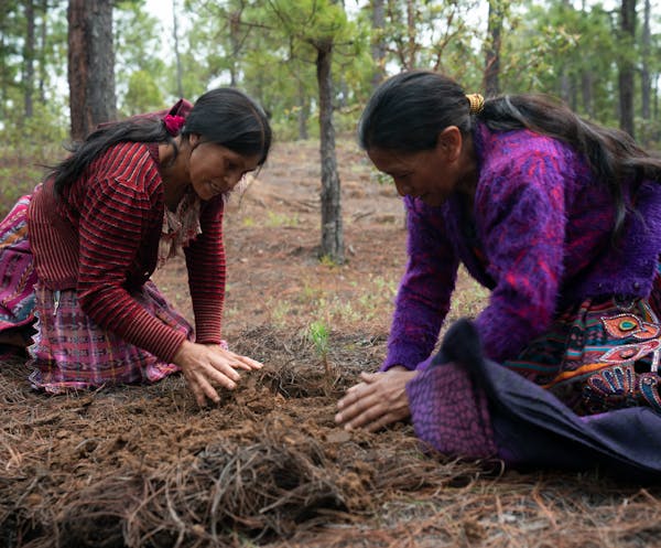 Smallholder Farming