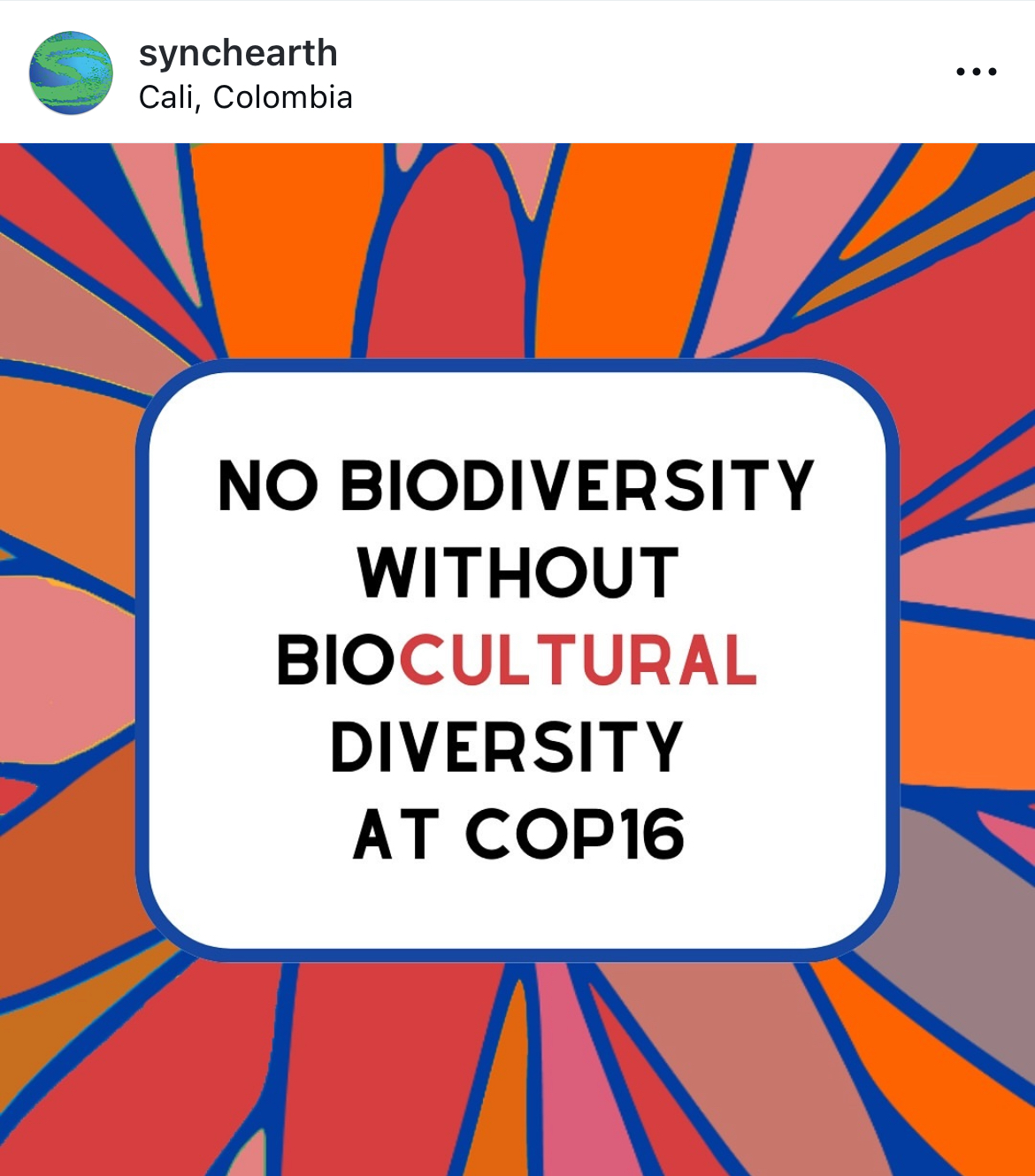 It is vital that Indigenous peoples and local communities (IPLCs) are heard at events like the United Nations Convention on Biological Diversity COP16 and that they are actively involved in decision making around climate and biodiversity strategies. Image Credit: Synchronicity Earth, Instagram.