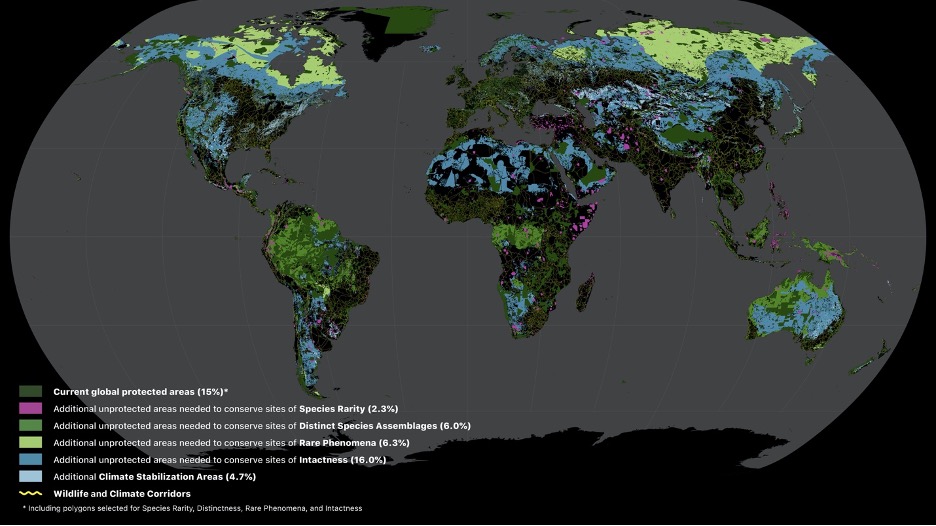 Areas of the terrestrial realm where increased conservation action is needed to protect biodiversity and store carbon. Numbers in parentheses show the percentage of total land area of Earth contributed by each set of layers. Unprotected habitats drawn from the 11 biodiversity data layers underpinning the Global Safety Net augment the current 15.1% protected with an additional 30.6% required to safeguard biodiversity. Additional CSAs add a further 4.7% of the terrestrial realm. Also shown are the wildlife and climate corridors to connect intact habitats (yellow lines). Image credit: Globaia