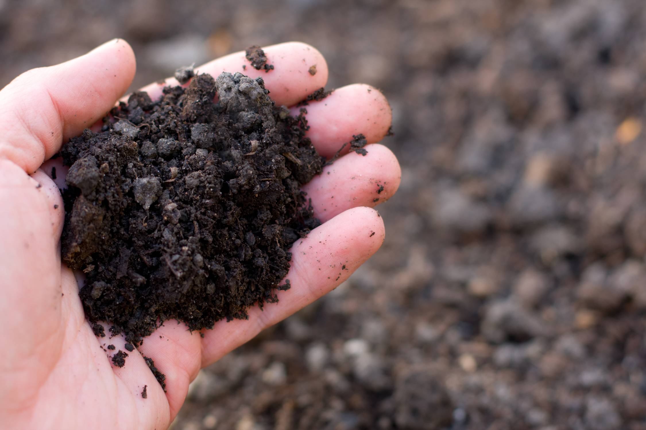 Handful of rich black soil. Photo ID 14606936 © Brad Calkins | Dreamstime.com