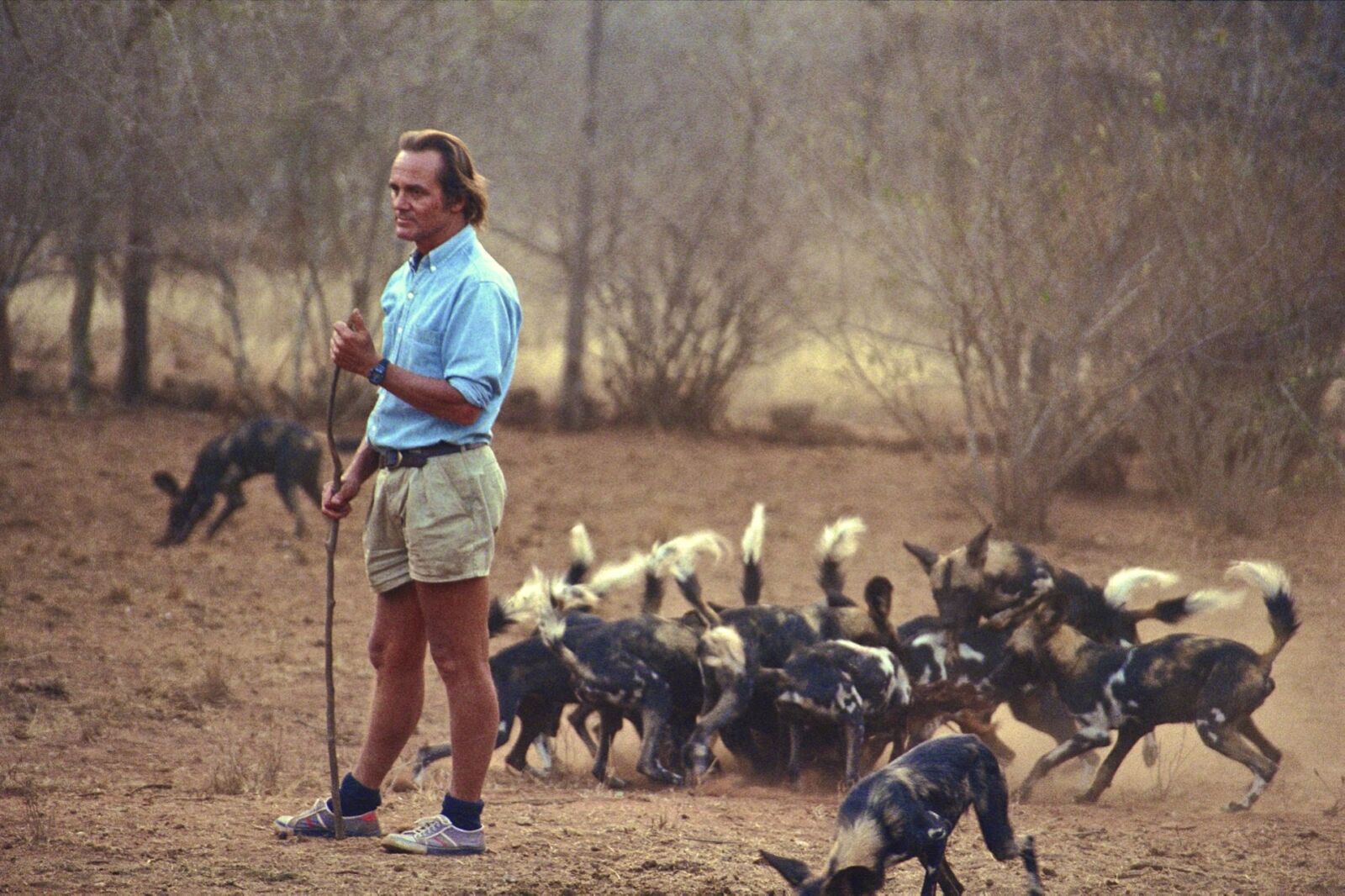 Tony Fitzjohn with a pack of African wild dogs. Image Credit: True Travel. Tony Fitzjohn with a pack of African wild dogs. Image Credit: True Travel.