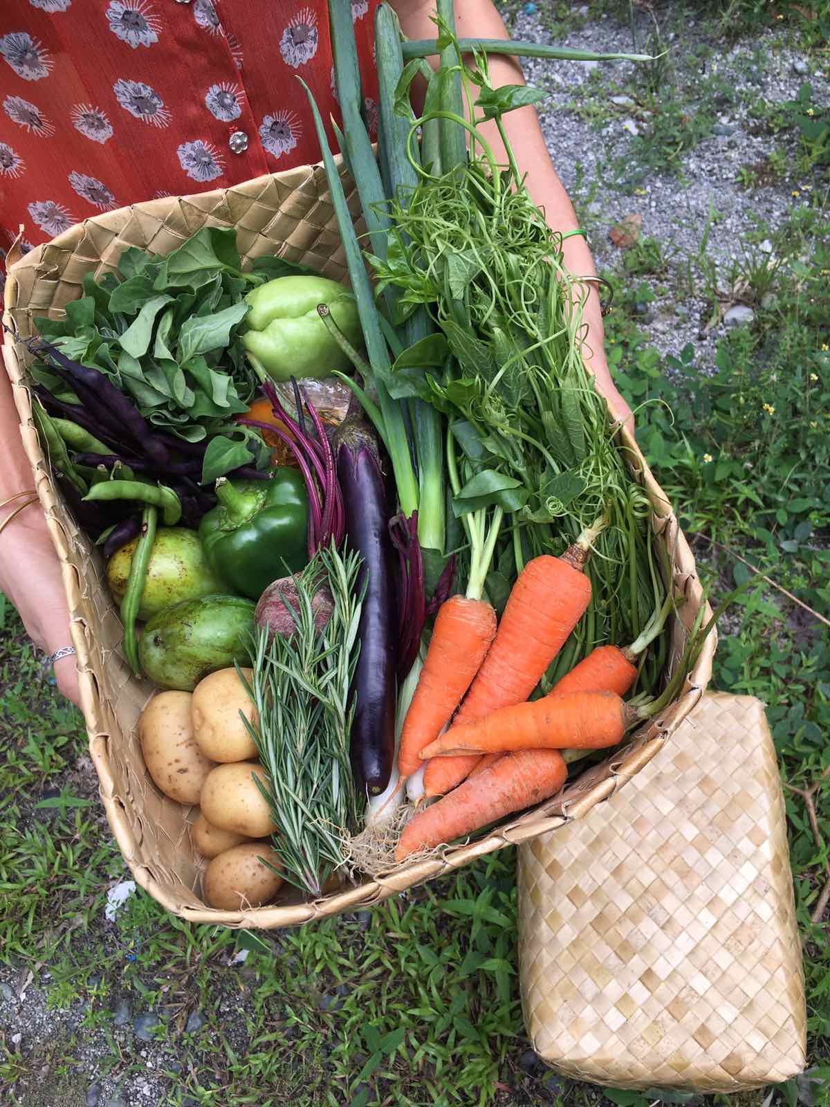 A colorful vegetable farm share package in a woven bamboo box. Image credit: Courtesy of Good Food Community
