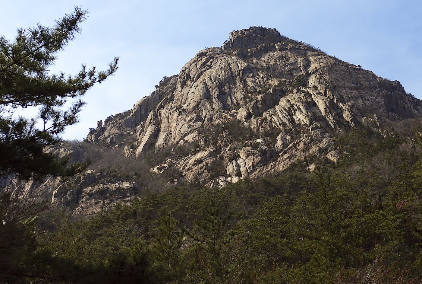 Korean Peninsula Mixed Forests (PA48)