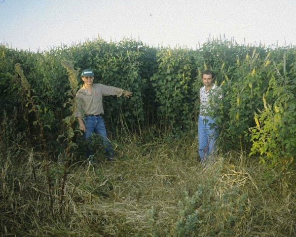 Smallholder farmers case study 3: conservation agriculture