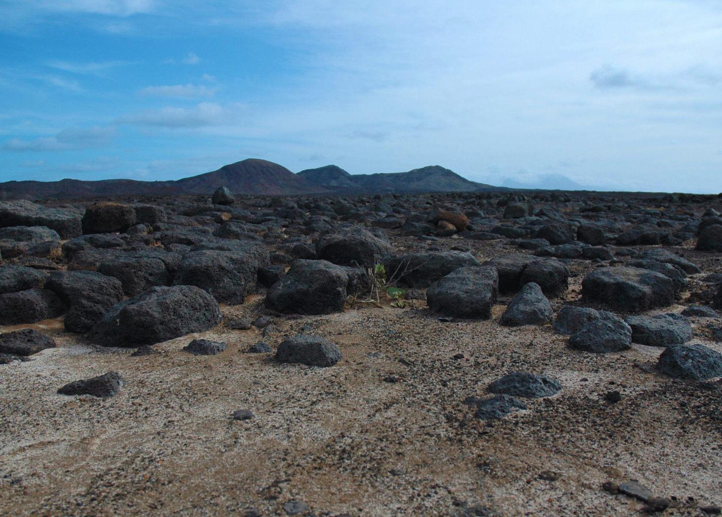 Raso Island with location of Raso lark nest in centre of view. Image Credit: Welbergen from Wikipedia, CC BY-SA 3.0. Raso Island with location of Raso lark nest in centre of view. Image Credit: Welbergen from Wikipedia, CC BY-SA 3.0.