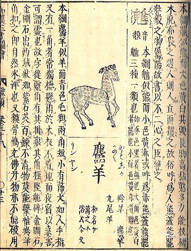 An entry on the serow in the 1712 encyclopaedia Wakan Sansai Zue. Image Credit: Terajima Ryōan, Wiki Commons.