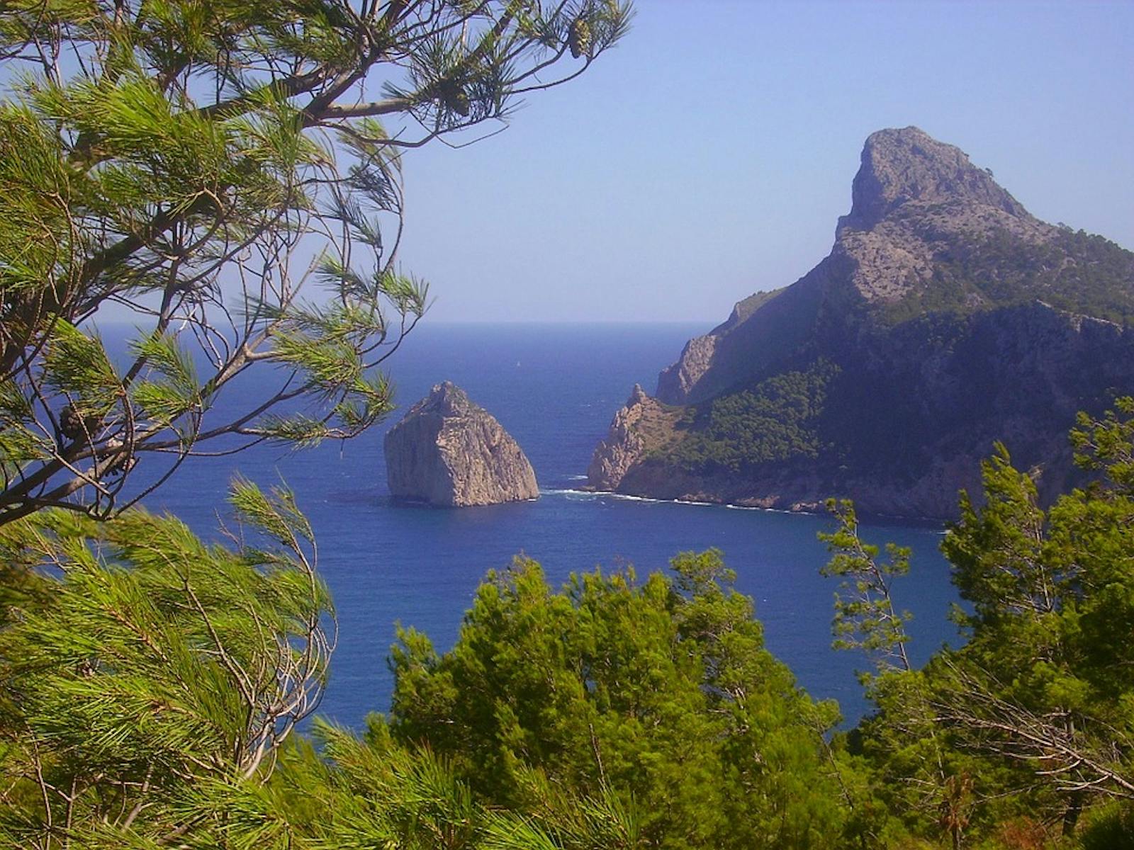 Northeastern Spain and Southern France Mediterranean Forests