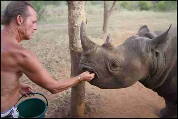 Tony Fitzjohn and a rhino friend. Image Credit: Merritt Clifton, Animals24-7.org. Tony Fitzjohn and a rhino friend. Image Credit: Merritt Clifton, Animals24-7.org.
