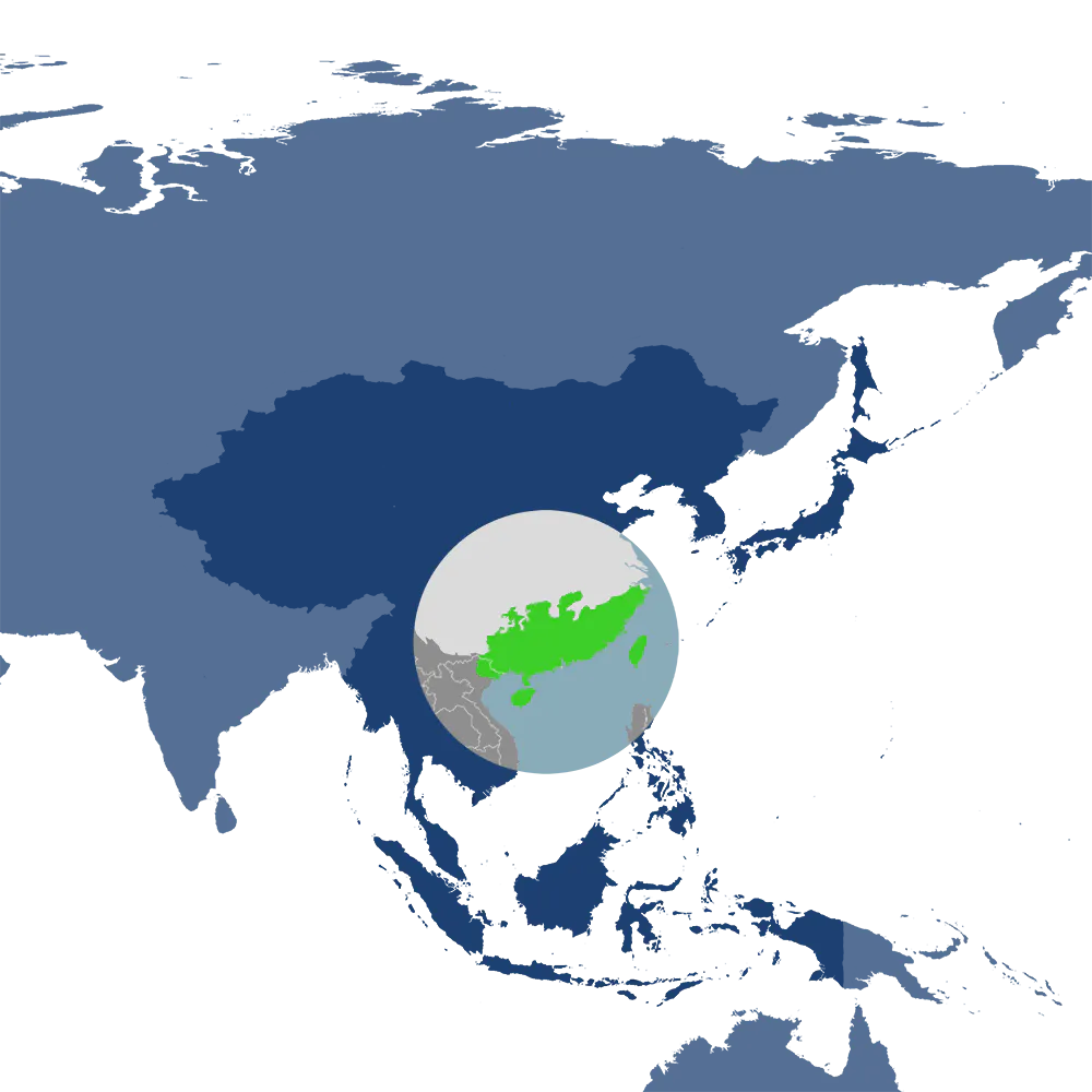 The Chinese pangolin is the iconic species of the South China Subtropical Evergreen & Monsoon Forests bioregion (IM13), located in the Southeast Asian Forests subrealm of Indomalaya.