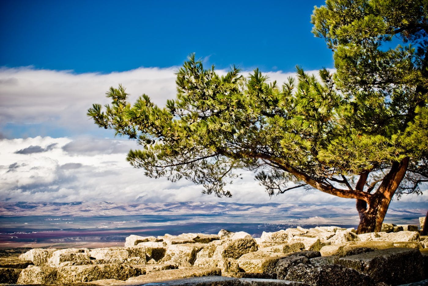 Aegean Sea & East Mediterranean Mixed Forests (PA18)