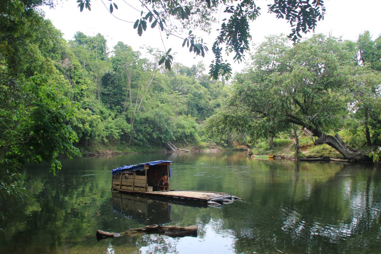 Bukit Baka Bukit Raya National Park, Indonesia. Image credit: Courtesy of Health in Harmony