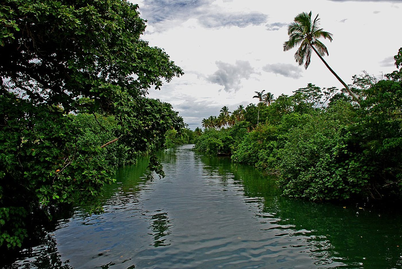Vanuatu Islands (AU11)