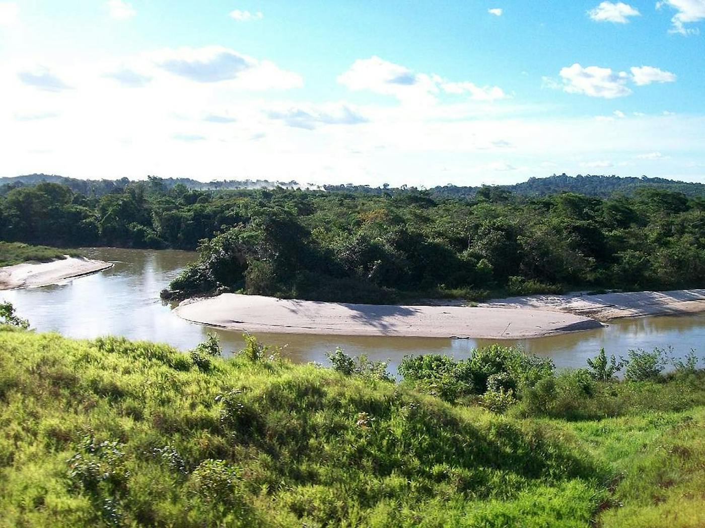 Brazilian Atlantic Dry Forests (NT15)