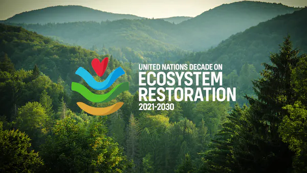 One Earth joins the UN Decade on Ecosystem Restoration