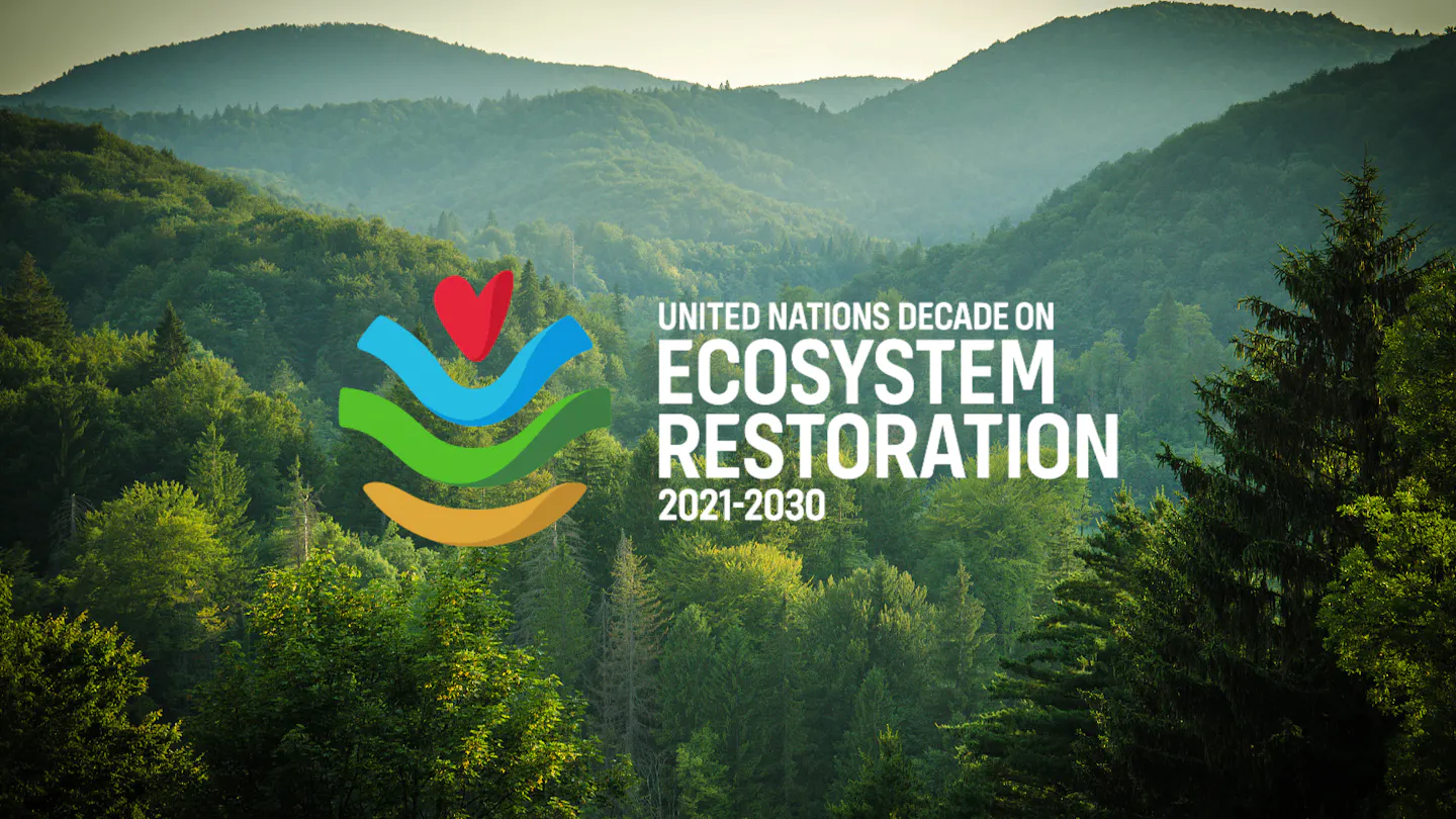 One Earth joins the UN Decade on Ecosystem Restoration