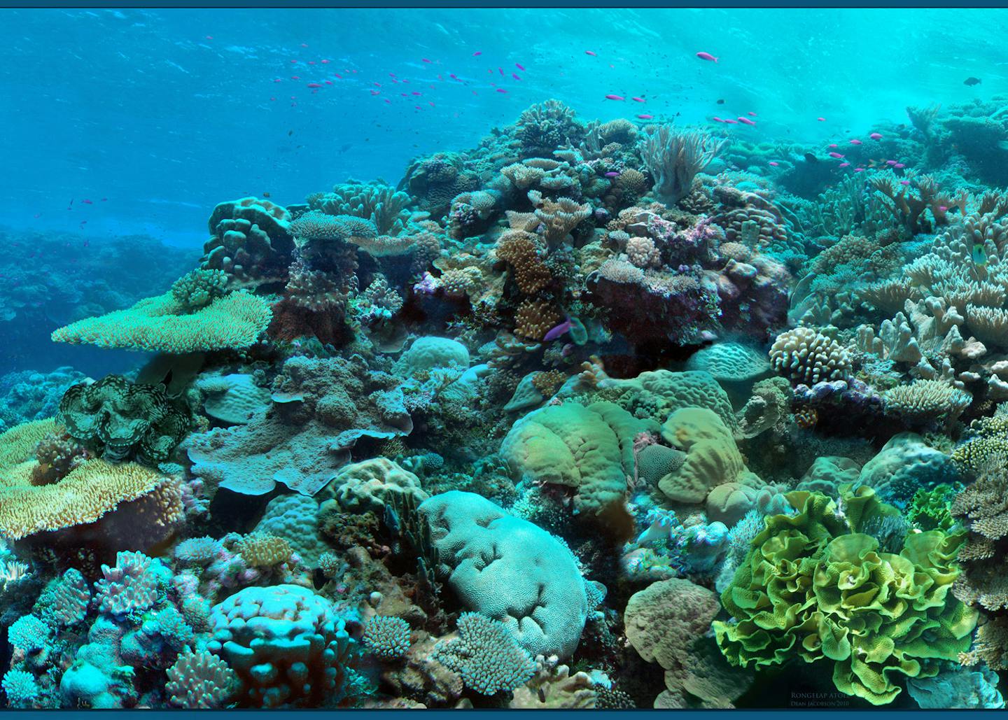 How Belize saved its coral reefs